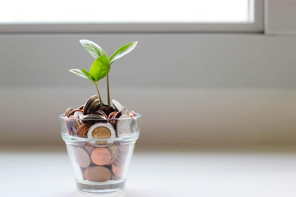 L'art de l'épargne : comment la capitalisation peut transformer votre avenir financier